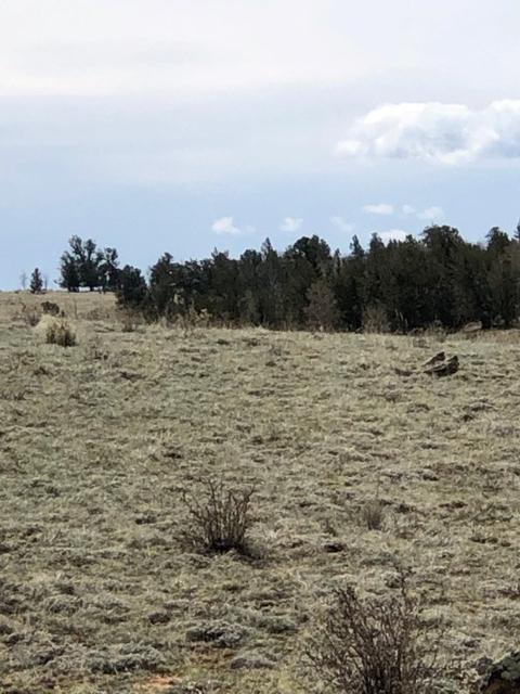 1801 Remington Rd, Como, CO 80432 photo 6