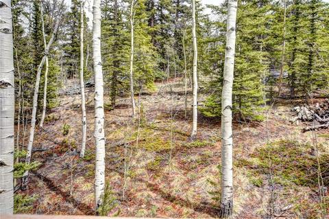 362 Kite Ct, Como, CO 80432 photo 34