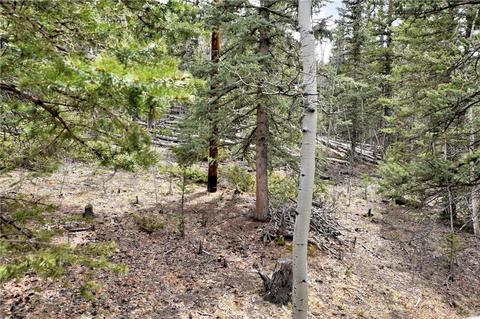 362 Kite Ct, Como, CO 80432 photo 3
