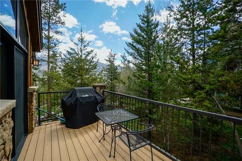 1764 Red Hawk Road Rd, Silverthorne, CO 80498 photo 13
