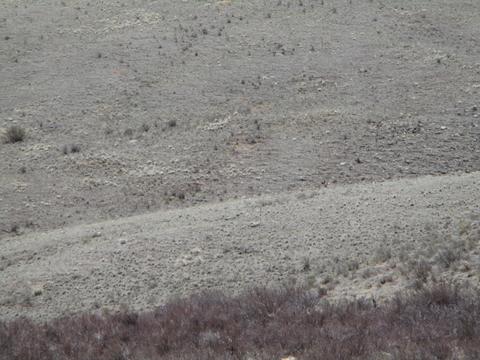 131 Albino Rd, Como, CO 80432 photo 19
