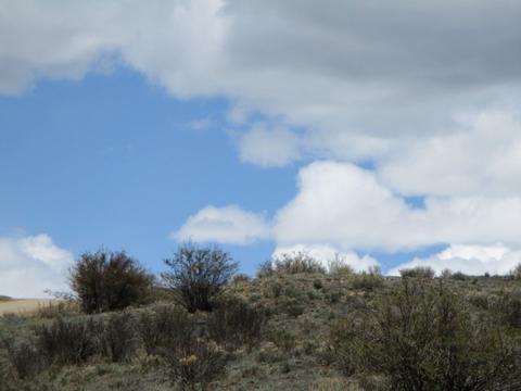 131 Albino Rd, Como, CO 80432 photo 21