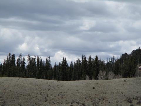 131 Albino Rd, Como, CO 80432 photo 9