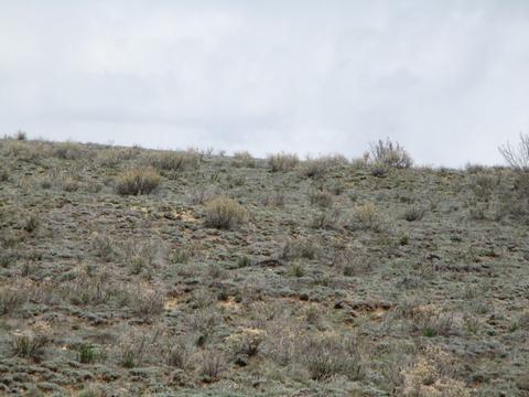 131 Albino Rd, Como, CO 80432 photo 13