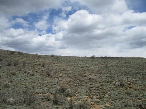 131 Albino Rd, Como, CO 80432 photo 12