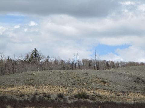 131 Albino Rd, Como, CO 80432 photo 20