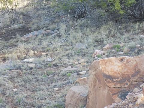2703 Rhyolite Dr, Como, CO 80432 photo 34