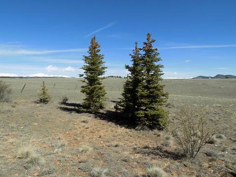 2703 Rhyolite Dr, Como, CO 80432 photo 17