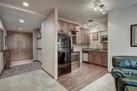 1675 Falcon Cir, Silverthorne, CO 80498 photo 28