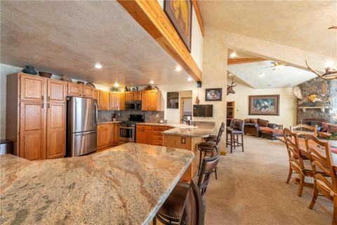 166 Springbeauty Dr, Silverthorne, CO 80498 photo 6