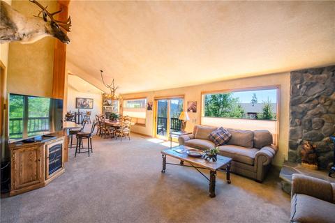 166 Springbeauty Dr, Silverthorne, CO 80498 photo 11
