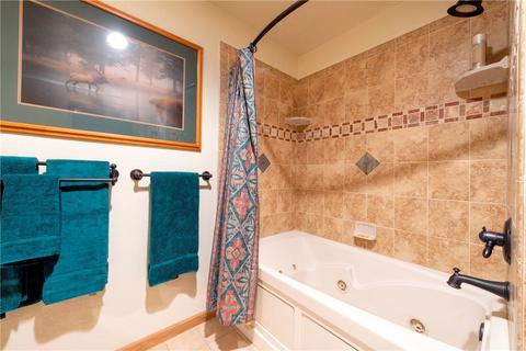 166 Springbeauty Dr, Silverthorne, CO 80498 photo 18