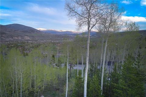 370 Two Cabins Dr, Silverthorne, CO 80498 photo 9