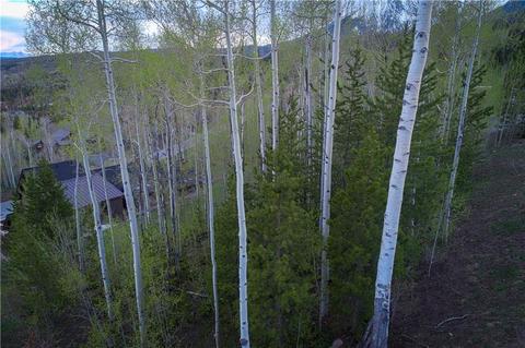 370 Two Cabins Dr, Silverthorne, CO 80498 photo 6