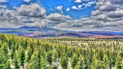 150 Pullman Loop, Hartsel, CO 80449 photo 10