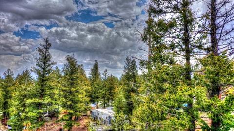 150 Pullman Loop, Hartsel, CO 80449 photo 5