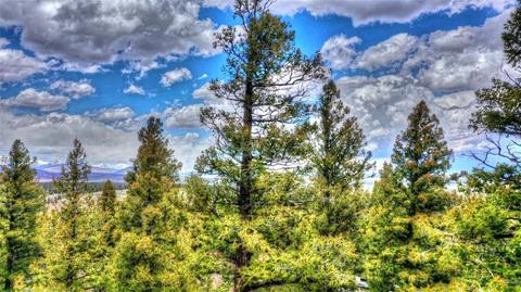 150 Pullman Loop, Hartsel, CO 80449 photo 2