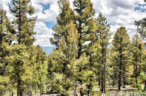 982 Red Cloud Dr, Como, CO 80432 photo 31