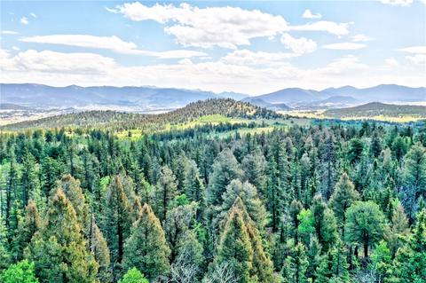 982 Red Cloud Dr, Como, CO 80432 photo 3