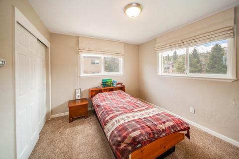 53 Big Elk Rd, Dillon, CO 80435 photo 20