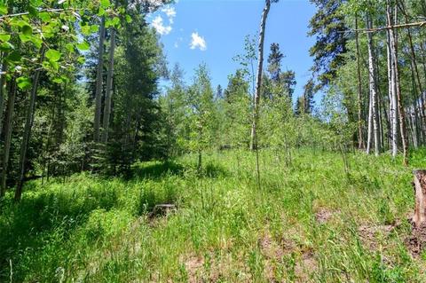 1815 Golden Eagle Rd, Silverthorne, CO 80498 photo 9