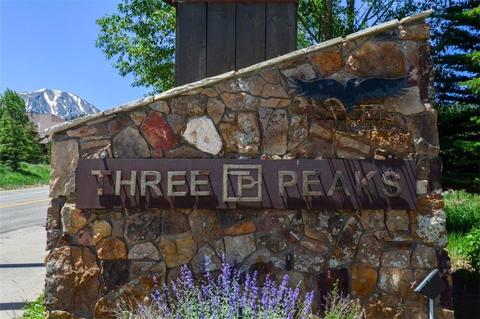1815 Golden Eagle Rd, Silverthorne, CO 80498 photo 29