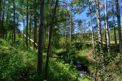 1815 Golden Eagle Rd, Silverthorne, CO 80498 photo 18