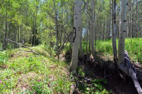 1815 Golden Eagle Rd, Silverthorne, CO 80498 photo 12