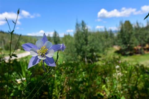 1815 Golden Eagle Rd, Silverthorne, CO 80498 photo 24
