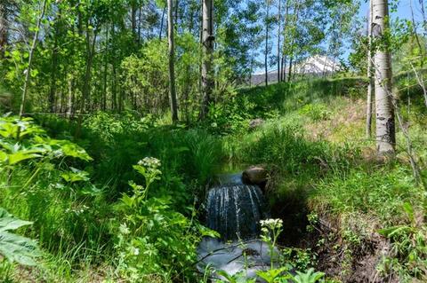 1815 Golden Eagle Rd, Silverthorne, CO 80498 photo 21