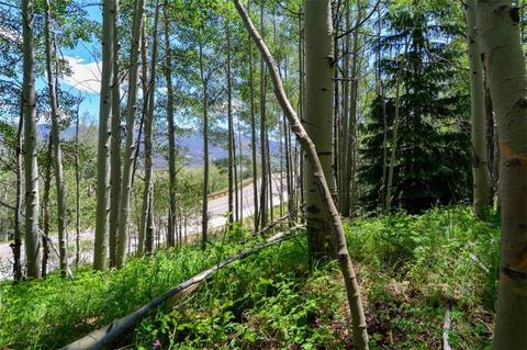 1815 Golden Eagle Rd, Silverthorne, CO 80498 photo 14