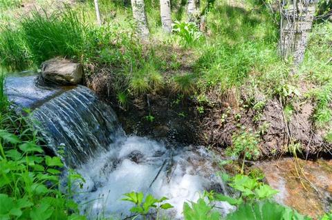 1815 Golden Eagle Rd, Silverthorne, CO 80498 photo 10