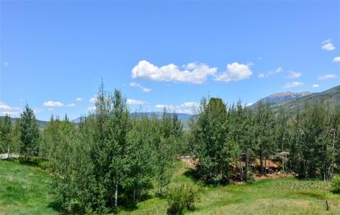 1815 Golden Eagle Rd, Silverthorne, CO 80498 photo 23