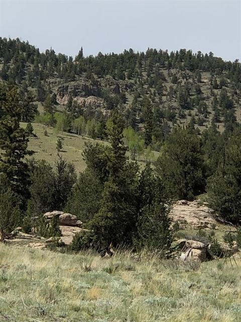 3112 Remington Rd, Como, CO 80432 photo 1