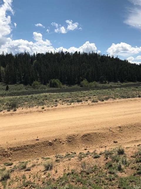 3112 Remington Rd, Como, CO 80432 photo 5