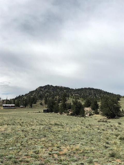 3112 Remington Rd, Como, CO 80432 photo 4