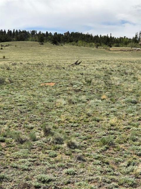 3112 Remington Rd, Como, CO 80432 photo 3