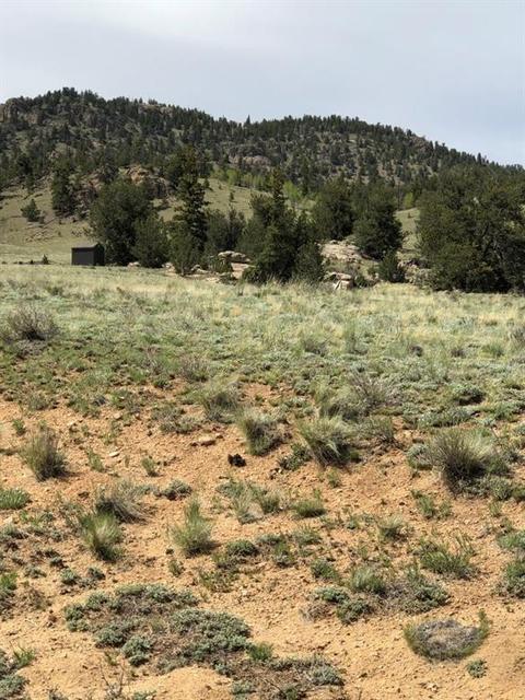 3112 Remington Rd, Como, CO 80432 photo 2