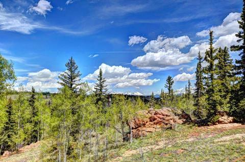 139 Houma Way, Como, CO 80432 photo 10