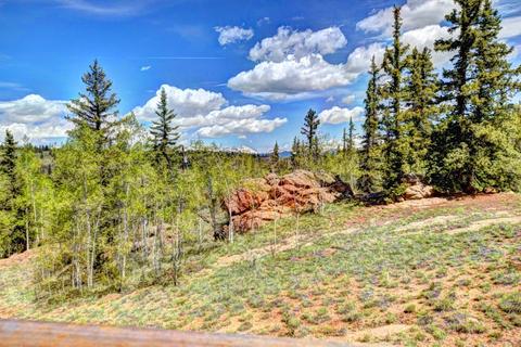 139 Houma Way, Como, CO 80432 photo 5