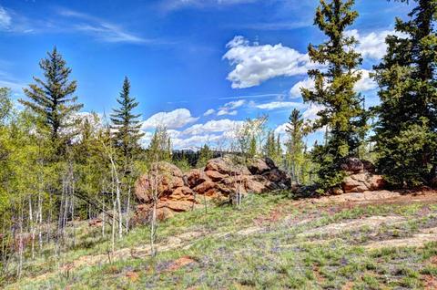 139 Houma Way, Como, CO 80432 photo 26