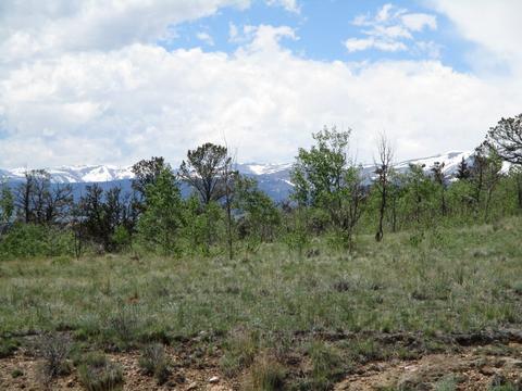 151 Hawk Way, Como, CO 80432 photo 5