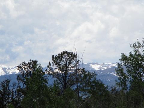 151 Hawk Way, Como, CO 80432 photo 3