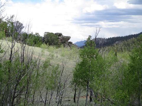 151 Hawk Way, Como, CO 80432 photo 6