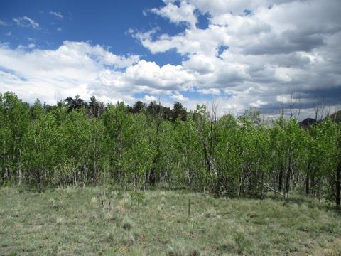 151 Hawk Way, Como, CO 80432 photo 9