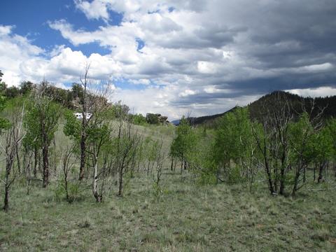 151 Hawk Way, Como, CO 80432 photo 4