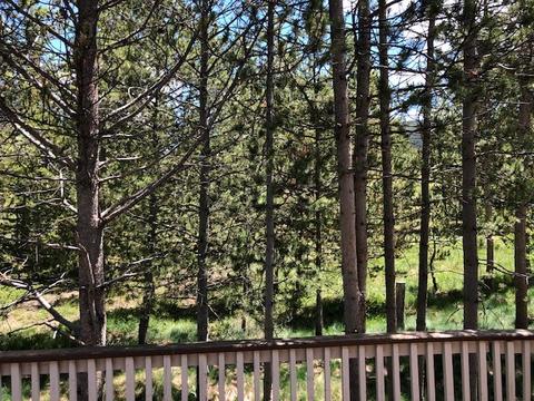 324 B Cartier Ct, Dillon, CO 80435 photo 3