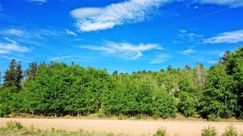 8122 Remington Rd, Como, CO 80432 photo 10