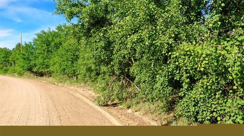 8122 Remington Rd, Como, CO 80432 photo 9