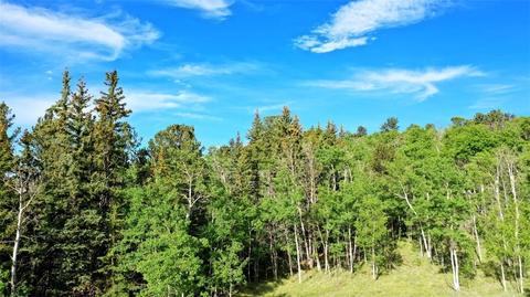 8122 Remington Rd, Como, CO 80432 photo 5